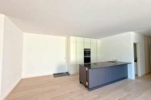 Nuovo Palazzo a Sementina